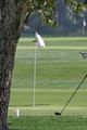 daren-golf