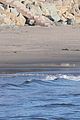 leo-beach