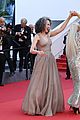 mirren-extensions