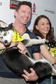 jackman-barks