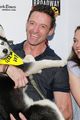 jackman-barks