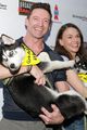 jackman-barks