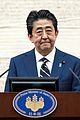 shinzo-shot
