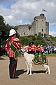 charles-wales-1