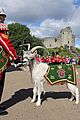 charles-wales-1