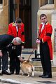 queen-pets
