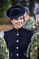 william-troops