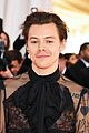 harry-premiere