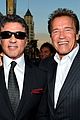 arnold-sylvester