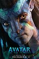 avatar-final