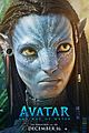 avatar-final