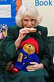 camilla-paddington