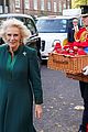 camilla-paddington