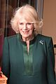 camilla-paddington