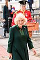 camilla-paddington