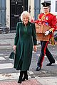 camilla-paddington