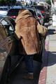 j-lo-fur