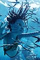 navi-blue