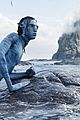 navi-blue