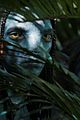 avatar-endcred