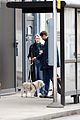 saoirse-dogwalk