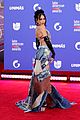 latin-amas