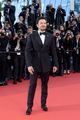 cannes-elemental