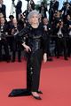 cannes-elemental
