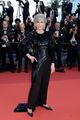 cannes-elemental