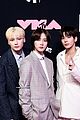 stray-mtv