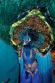 heidiklum-peacock