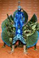heidiklum-peacock