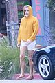 pine-shorts