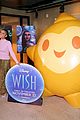 depine-wish