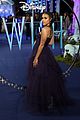 wish-premiere