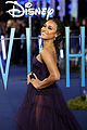 wish-premiere