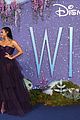 wish-premiere