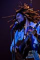 marley-teaser