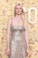 debicki-globes