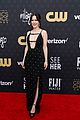 maisel-carpet