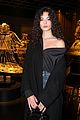 dior-parisshow