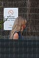 swift-zoopics2