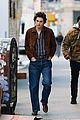 chalamet-norton