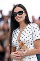demi-pilaf-cannes