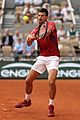 novak-withdraw