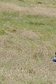 comer-setpics