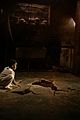 deliverance-trailer