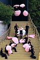gaga-plumes