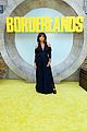 borderlands-fan-hollywood