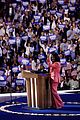 maya-dnc